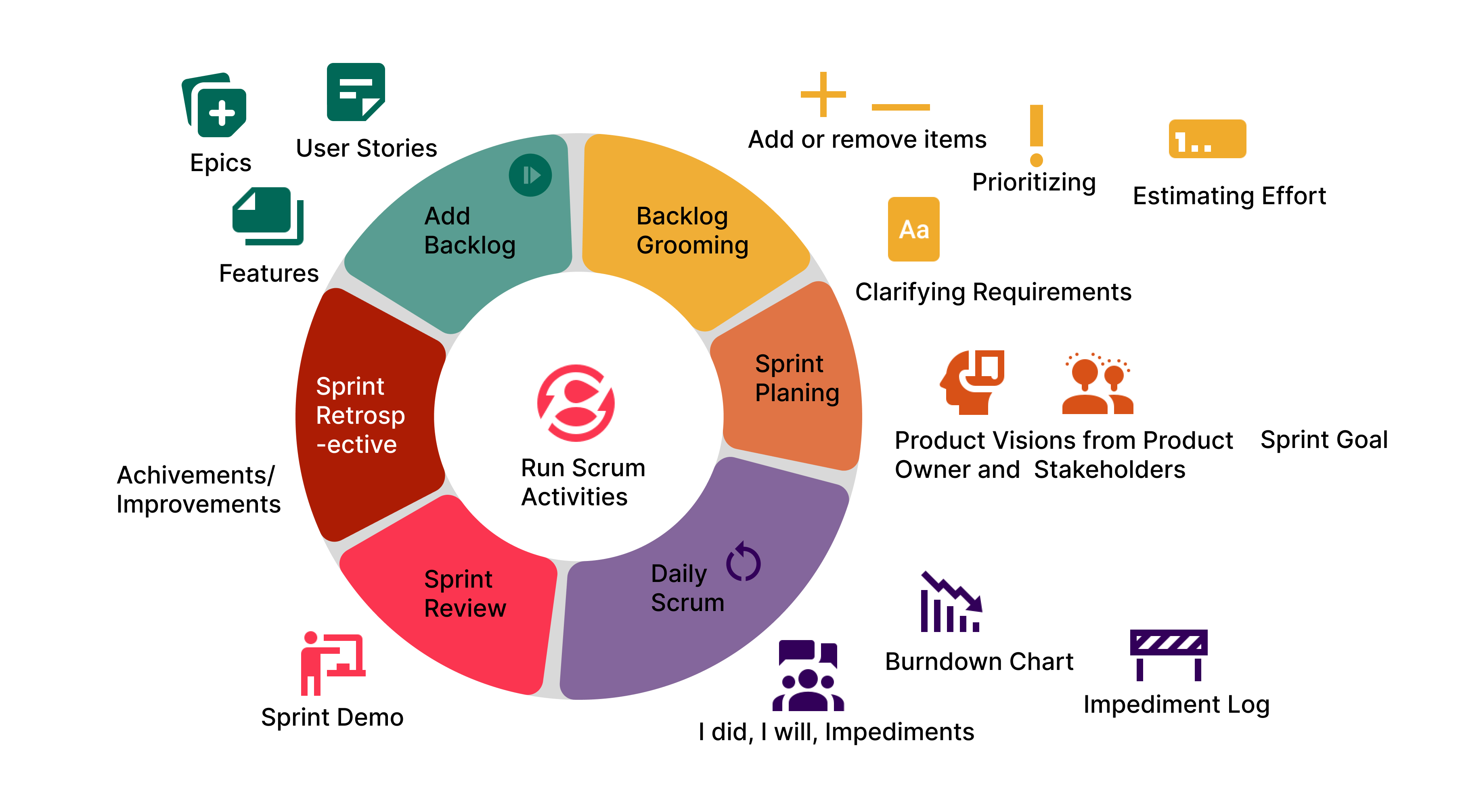 My Role in the Scrum Activities